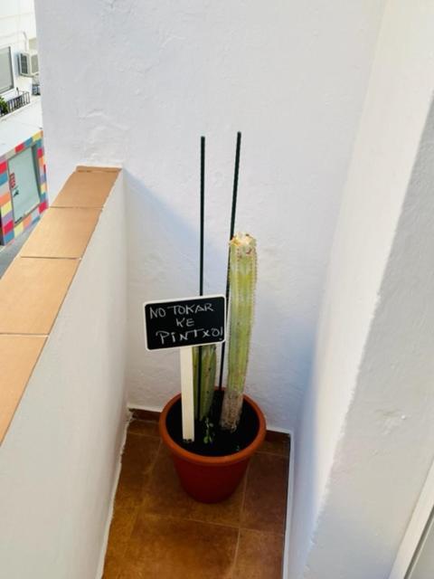 Aita Casa Barbate Apartment Luaran gambar